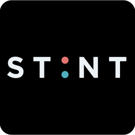 Stint Logo