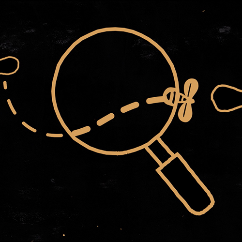 2D animation of a magnifying glass tracking a dotted path of a flying insect — symbolising discovery, exploration, or clarity in animated explainer videos.